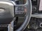 2024 Ford SUPER DUTY F-250 Platinum